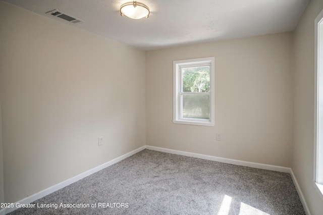 4656 Krental Ave, Holt, MI 48842 - photo 49