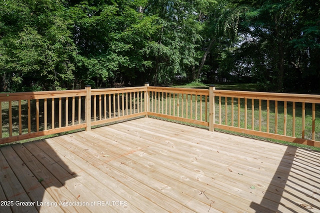 4656 Krental Ave, Holt, MI 48842 - photo 62
