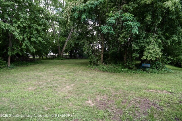 4656 Krental Ave, Holt, MI 48842 - photo 70