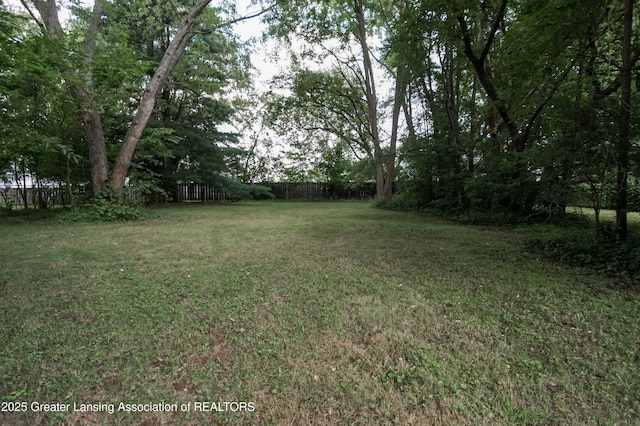 4656 Krental Ave, Holt, MI 48842 - photo 71