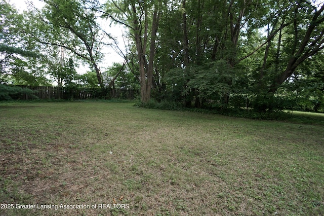 4656 Krental Ave, Holt, MI 48842 - photo 72