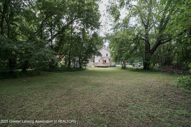 4656 Krental Ave, Holt, MI 48842 - photo 74