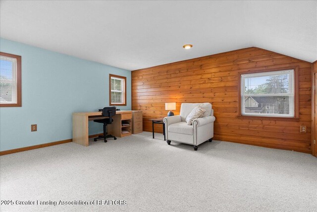 316 Leasia St, Williamston, MI 48895 - photo 21