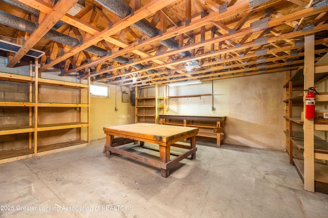 13749 Tallman Rd, Grand Ledge, MI 48837 - photo 34