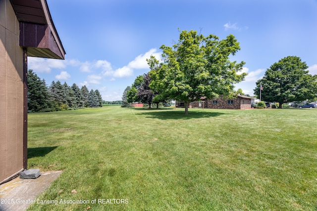 13749 Tallman Rd, Grand Ledge, MI 48837 - photo 9