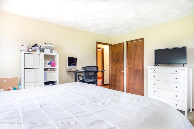 13749 Tallman Rd, Grand Ledge, MI 48837 - photo 26