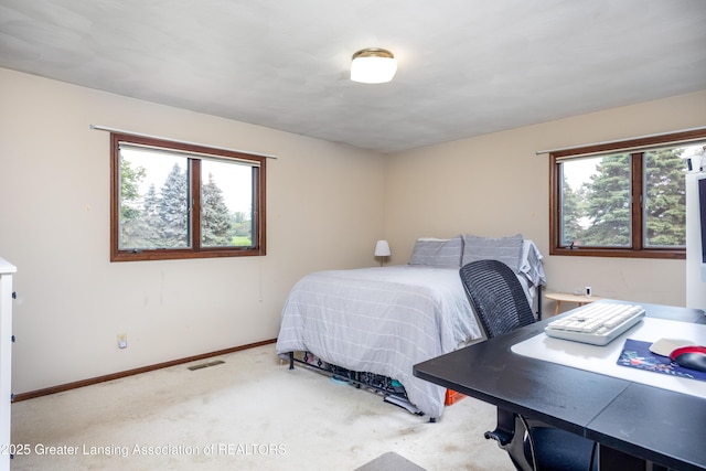 13749 Tallman Rd, Grand Ledge, MI 48837 - photo 25