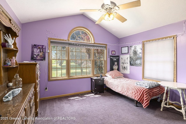 5955 E Parks Rd, Saint Johns, MI 48879 - photo 20