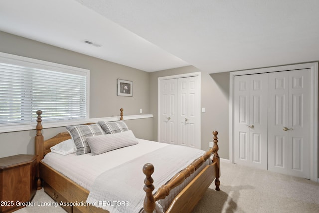 11660 Hidden Spring Trl, Dewitt, MI 48820 - photo 33
