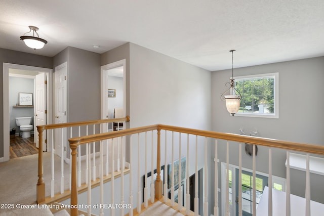 11660 Hidden Spring Trl, Dewitt, MI 48820 - photo 40