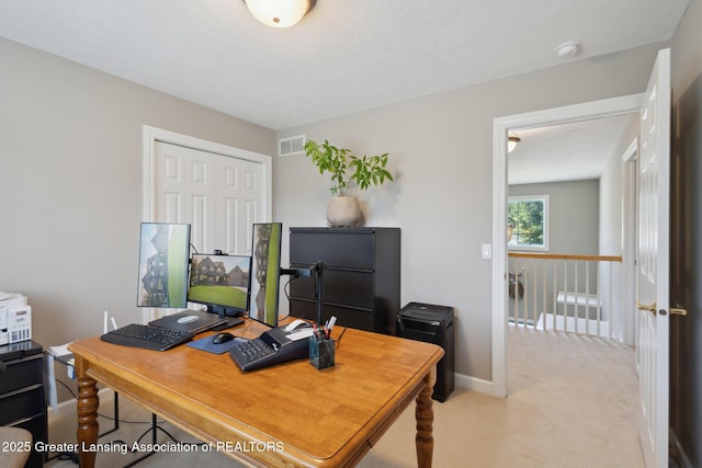 11660 Hidden Spring Trl, Dewitt, MI 48820 - photo 41