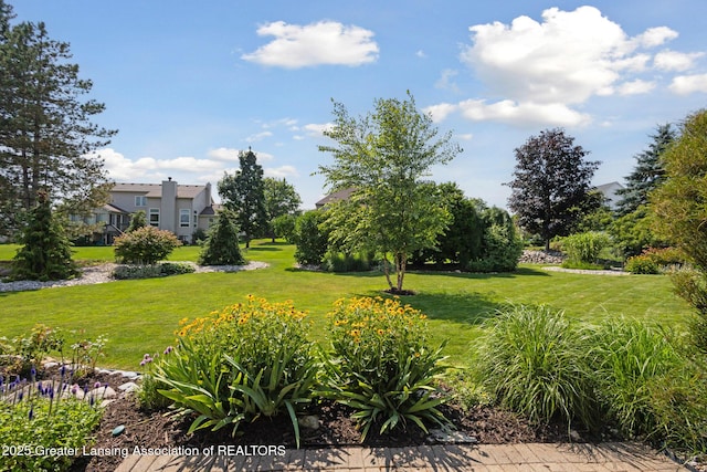 11660 Hidden Spring Trl, Dewitt, MI 48820 - photo 50