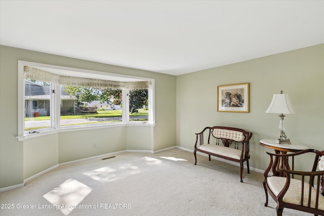 873 Union Ave, Owosso, MI 48867 - living area with carpet