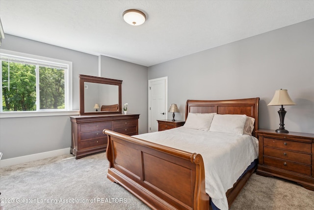 4186 N Williamston Rd, Williamston, MI 48895 - photo 23