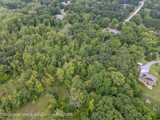 4186 N Williamston Rd, Williamston, MI 48895 - photo 72