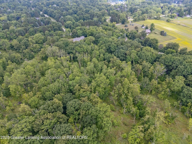 4186 N Williamston Rd, Williamston, MI 48895 - photo 73