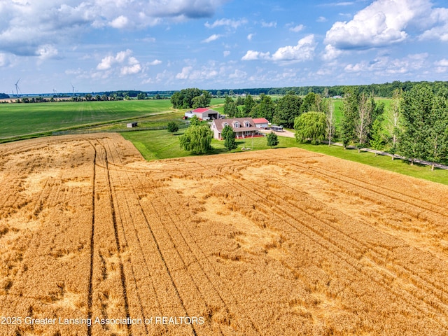 7741 E Garfield Rd, Ashley, MI 48806 - photo 48