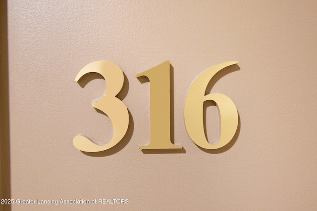 220 Mac Ave Unit 316, East Lansing, MI 48823 - photo 5