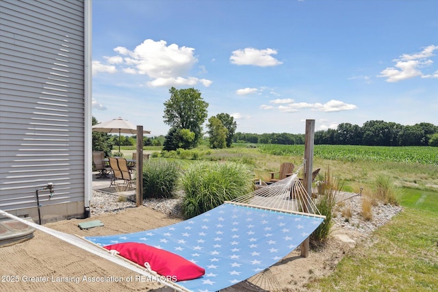 2418 Knollridge Ln, Williamston, MI 48895 - photo 43