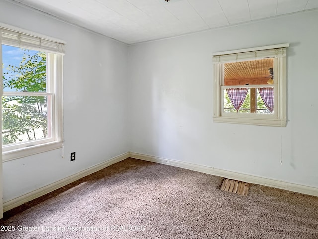 529 Maine Ct, Mason, MI 48854 - photo 9