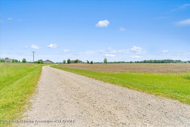 1154 Burkley Rd, Williamston, MI 48895 - photo 52