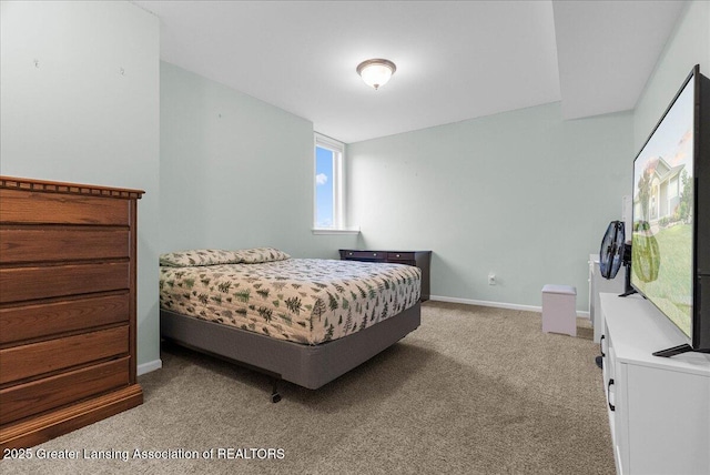 1154 Burkley Rd, Williamston, MI 48895 - photo 28