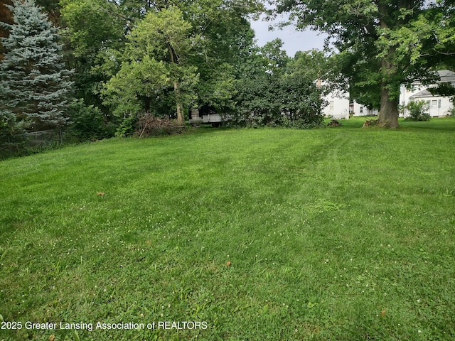 518 Clark St, Eaton Rapids, MI 48827 - view of grassy yard