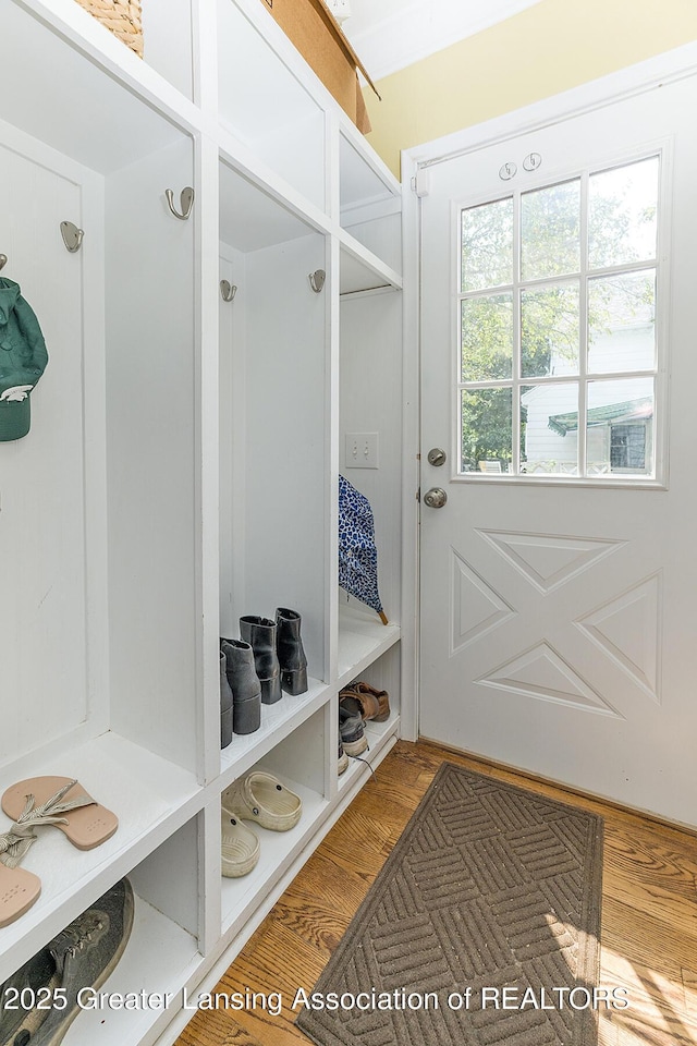 720 Linden St, East Lansing, MI 48823 - view of mudroom