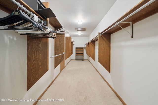 5723 Delta River Dr, Lansing, MI 48906 - photo 29