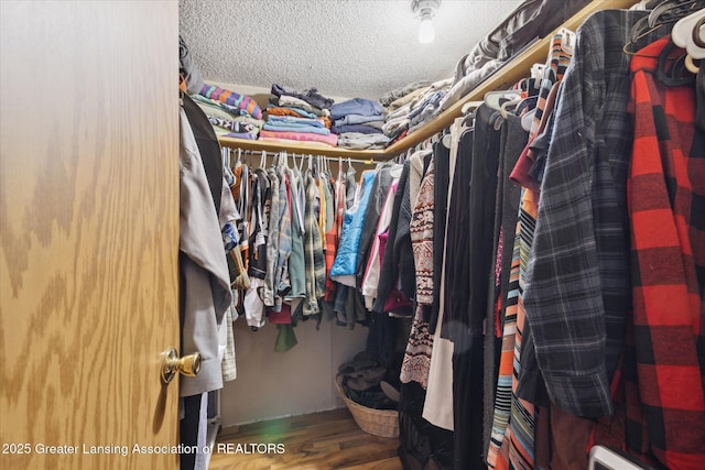 9428 S Wright Rd, Eagle, MI 48822 - spacious closet with wood finished floors
