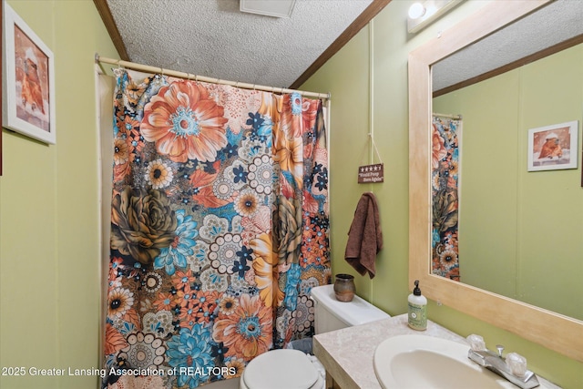 9428 S Wright Rd, Eagle, MI 48822 - bathroom featuring a textured ceiling, vanity, a shower with curtain, ornamental molding, and lofted ceiling