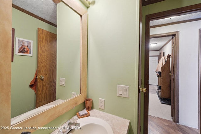 9428 S Wright Rd, Eagle, MI 48822 - bathroom with vanity, crown molding, a textured ceiling, and wood finished floors