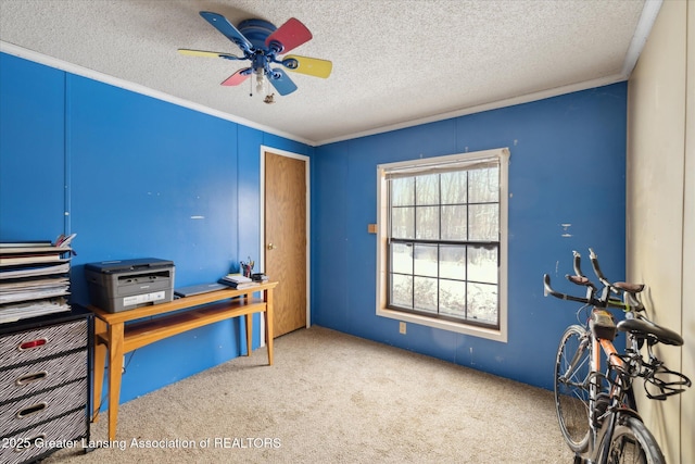 9428 S Wright Rd, Eagle, MI 48822 - office space with carpet, ceiling fan, a textured ceiling, and crown molding