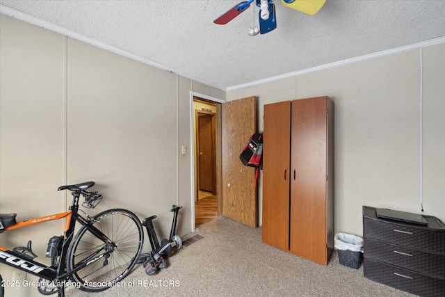 9428 S Wright Rd, Eagle, MI 48822 - workout area with a textured ceiling, a ceiling fan, carpet floors, and crown molding