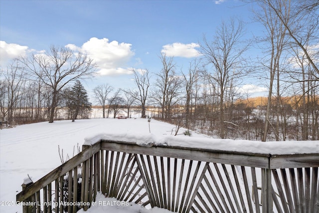 9428 S Wright Rd, Eagle, MI 48822 - view of snow covered deck