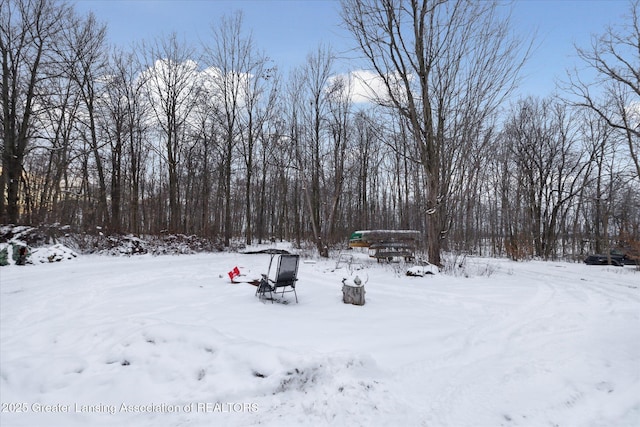 9428 S Wright Rd, Eagle, MI 48822 - view of yard