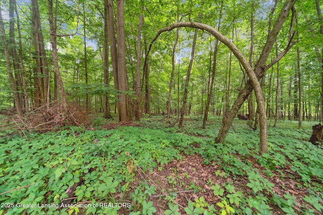 9428 S Wright Rd, Eagle, MI 48822 - view of woods