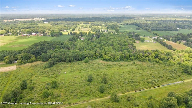 0 Alward Rd, Laingsburg, MI 48848 - photo 2