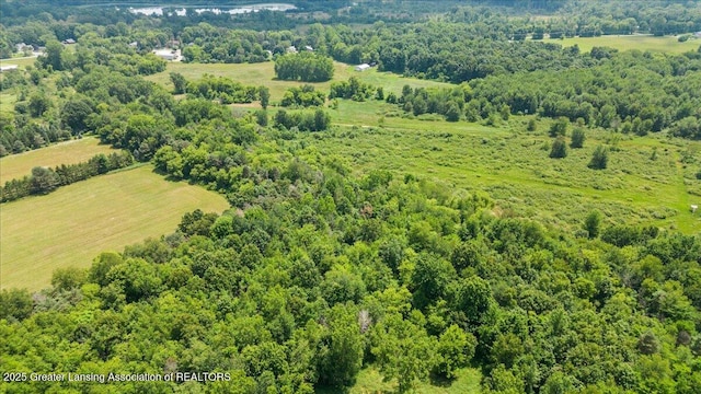 0 Alward Rd, Laingsburg, MI 48848 - photo 8