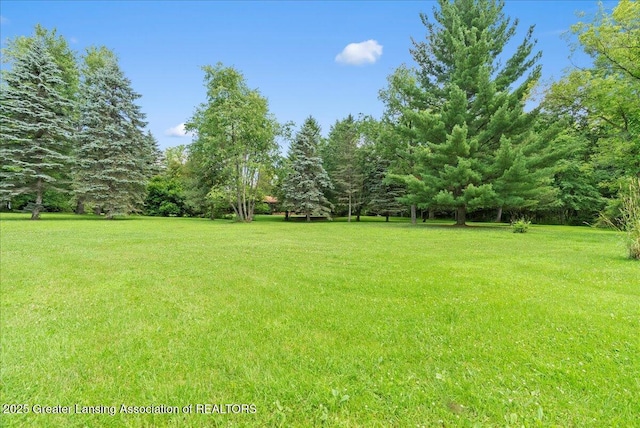 9550 Alward Rd, Laingsburg, MI 48848 - photo 29