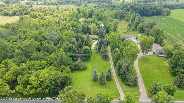 9550 Alward Rd, Laingsburg, MI 48848 - photo 37