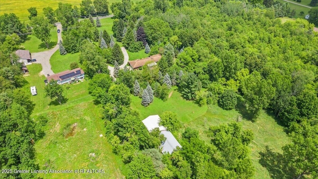 9550 Alward Rd, Laingsburg, MI 48848 - photo 36