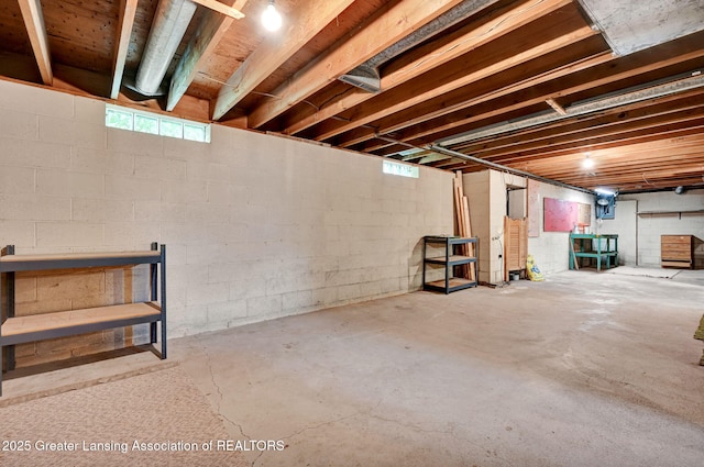 14455 Boichot Rd, Lansing, MI 48906 - photo 19