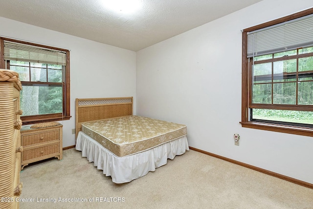 4580 Pardee Rd, Webberville, MI 48892 - photo 15