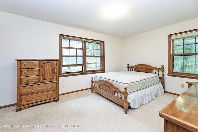 4580 Pardee Rd, Webberville, MI 48892 - photo 19