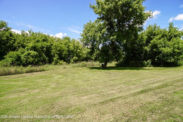 13305 Nelson St, Bath, MI 48808 - photo 89