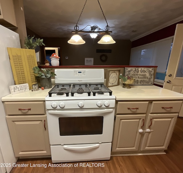 315 Oyer St, Springport, MI 49284 - kitchen featuring white range with gas cooktop, wood finished floors, light countertops, and decorative light fixtures