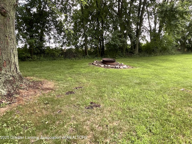 315 Oyer St, Springport, MI 49284 - view of grassy yard with a fire pit