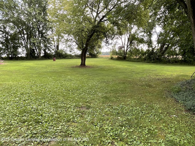 315 Oyer St, Springport, MI 49284 - view of grassy yard