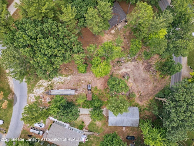 8511 W Easy St, Mears, MI 49436